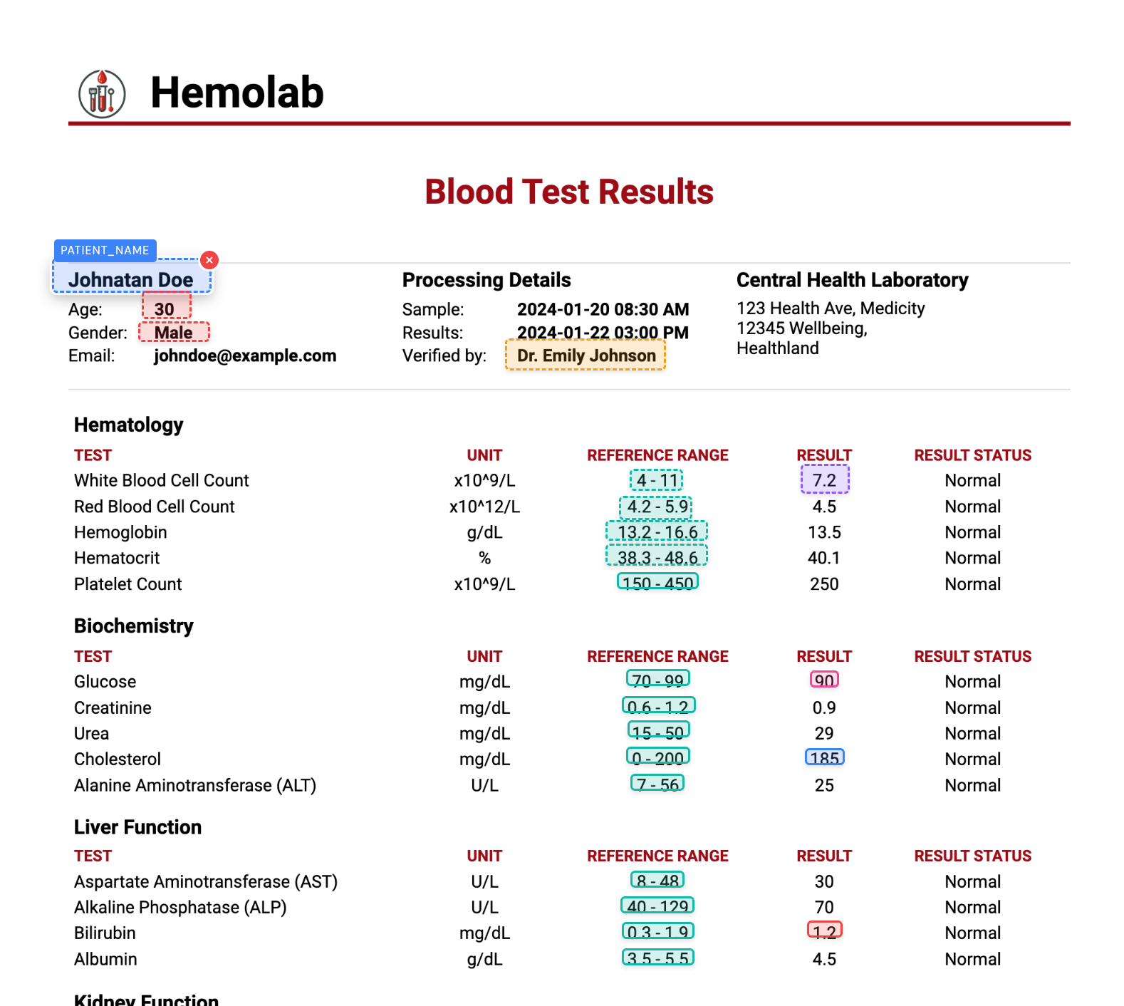 Business document extraction example